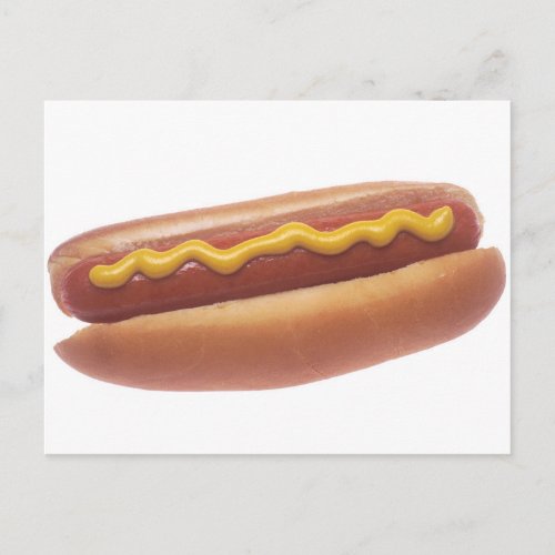 Hot Dog with Mustard Postcard