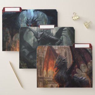 Hot Dragon File Folders