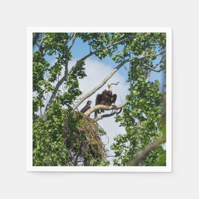 Hot Eagles Napkins (Front)