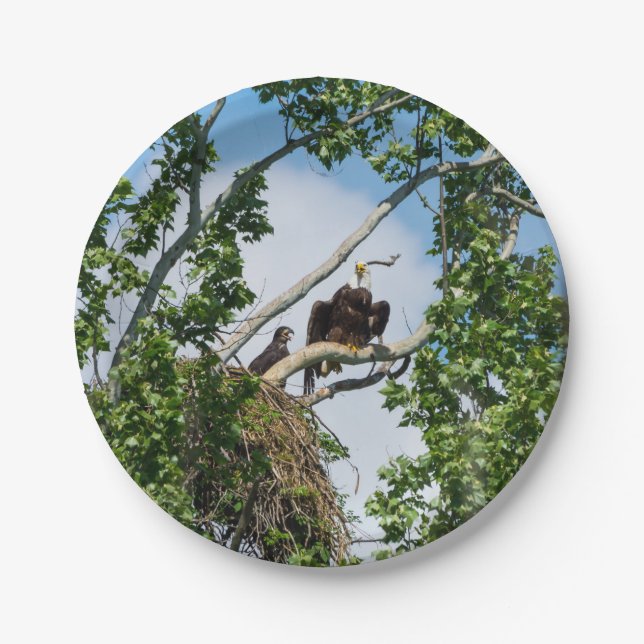 Hot Eagles Paper Plates (Front)