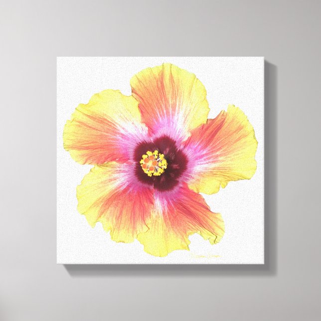 Hot Hibiscus Canvas Print (Front)