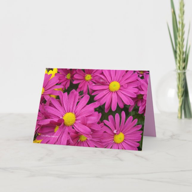 Hot hot pink card (Front)