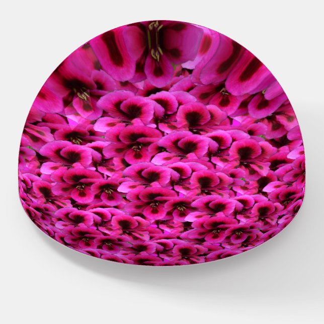 Hot Magenta Geranium Flowers, Paperweight (Angled)