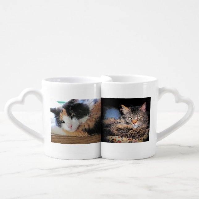 Hot Mamma Big Daddy Cat Couple Coffee Mug Set (Front Nesting)