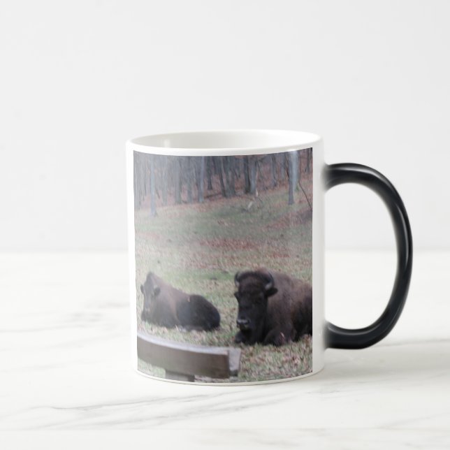 Hot or Cold? Mug (Right)