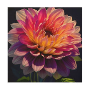 Hot Orange and Pink Dahlia Flower Wood Wall Art