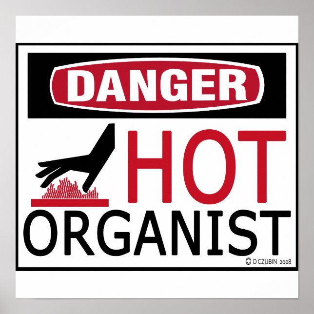Hot Organist Poster (Front)