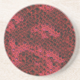 Hot Pink and Black Snake Skin Sandstone Coaster