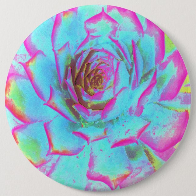 Hot Pink and Blue Succulent Sedum Rosette Button (Front)