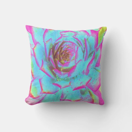 Hot Pink and Blue Succulent Sedum Rosette Throw Pillow