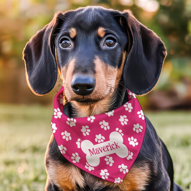 Hot Pink And White Paw Print Dog Bone Custom Name Pet Bandana Collar (Creator Uploaded)