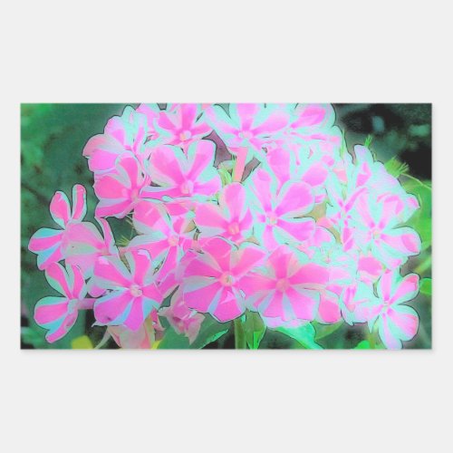 Hot Pink and White Peppermint Twist Garden Phlox Rectangular Sticker