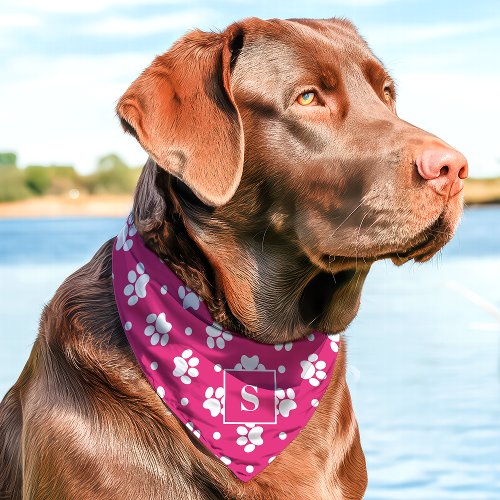 Hot Pink And White Polka Dot Paw Print Monogram Pet Bandana Collar