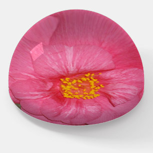 Hot Pink Camellia Growing On A Tree, Paperweight