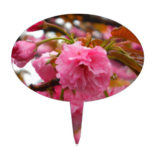 Hot Pink Cherry Blossom Flowers Cake Topper