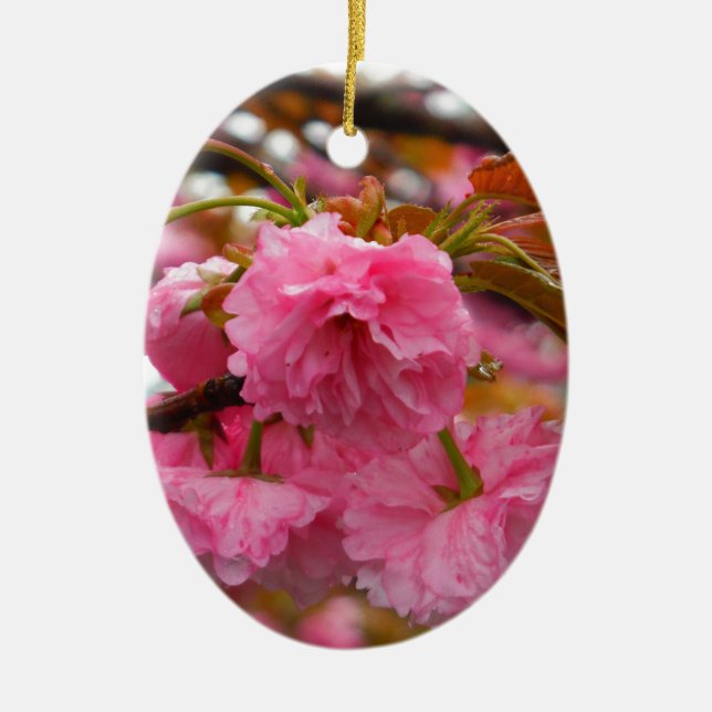 Hot Pink Cherry Blossom Flowers Ceramic Ornament (Front)