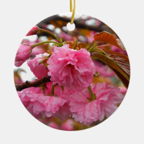 Hot Pink Cherry Blossom Flowers Ceramic Ornament