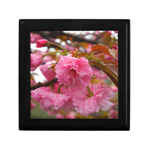 Hot Pink Cherry Blossom Flowers Gift Box