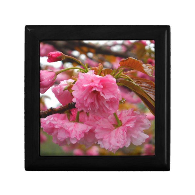 Hot Pink Cherry Blossom Flowers Gift Box (Front)