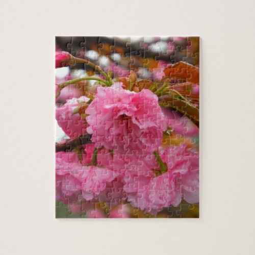 Hot Pink Cherry Blossom Flowers Jigsaw Puzzle