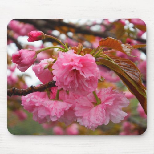 Hot Pink Cherry Blossom Flowers Mouse Pad