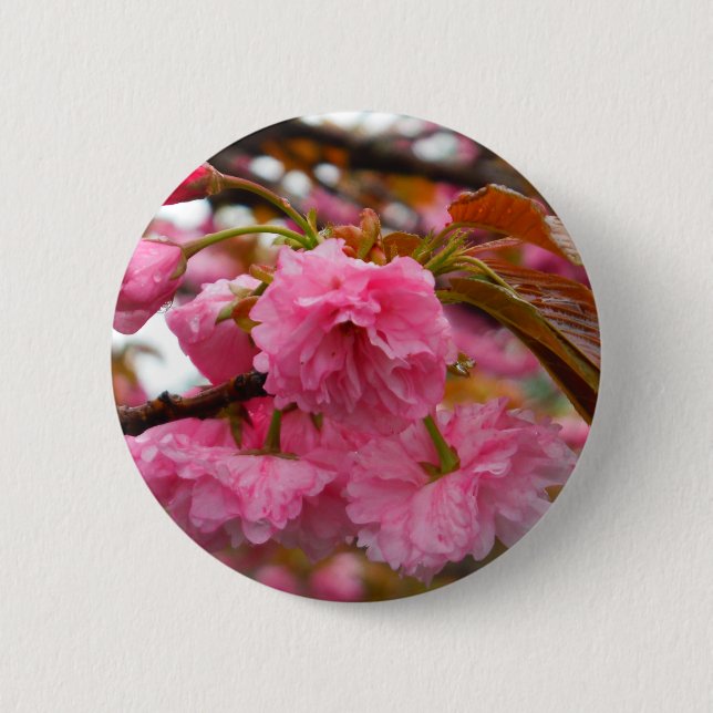 Hot Pink Cherry Blossom Flowers Pinback Button (Front)
