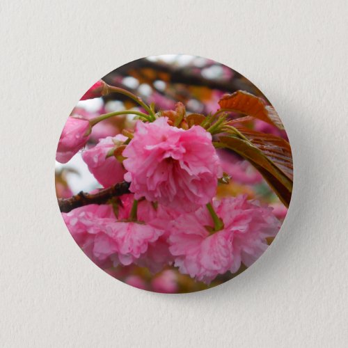 Hot Pink Cherry Blossom Flowers Pinback Button