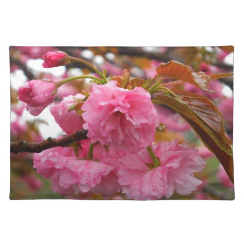 Hot Pink Cherry Blossom Flowers Placemat