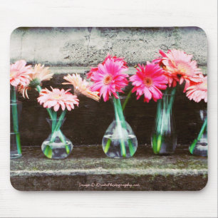 Hot Pink Daisies in Vases Mouse Pad