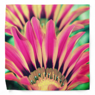 Hot Pink Daisy Bandana