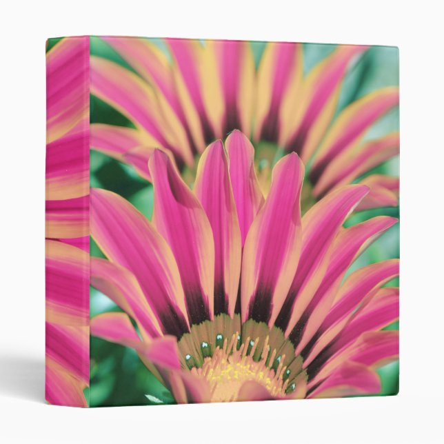Hot Pink Daisy Petals Binder (Front/Spine)