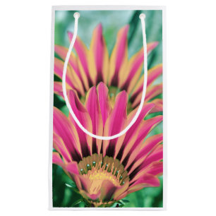 Hot Pink Daisy Petals Small Gift Bag