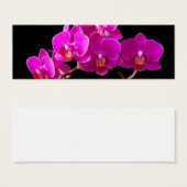 Hot Pink Dendrobium Orchid Flower Orchids Template (Front & Back)