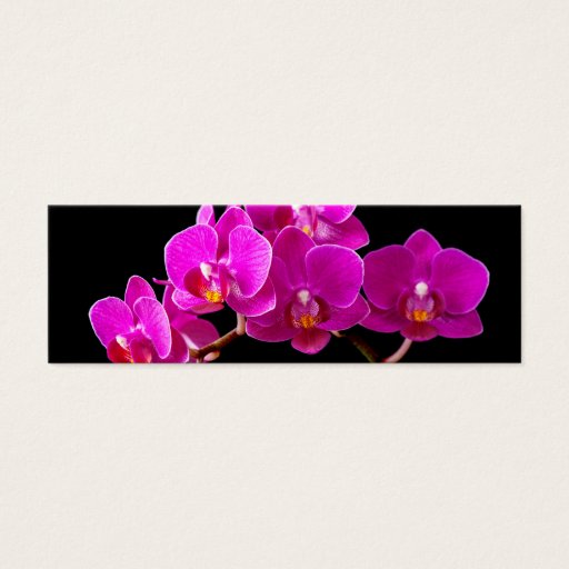 Customizable Hot Pink Dendrobium Orchid Flower Orchids Template Business Card