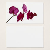 Hot Pink Dendrobium Orchid - Orchids Background (Front & Back)