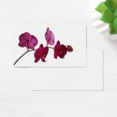 Hot Pink Dendrobium Orchid - Orchids Background (Desk)
