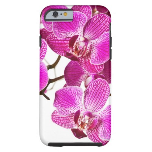 Hot Pink Dendrobium Orchid _ Orchids Background Tough iPhone 6 Case