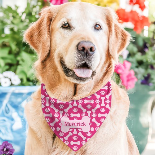 Hot Pink Dog Bones Paw Print Custom Name Pet Bandana Collar