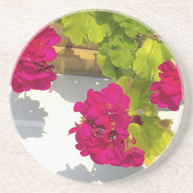 HOt pink floral flowers Pink Geranium Drink Coaster (Front)