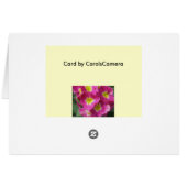Hot Pink Flower Note Card (Back Horizontal)