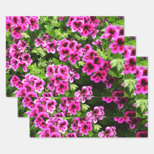 Hot Pink Geranium Flower Bush, Gift Wrap Sheets,