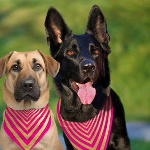 Hot pink gold striped wedding pet Bandana Collar