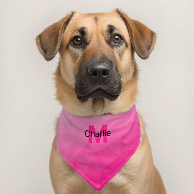 Hot pink gradient geometric mesh pattern Monogram Pet Bandana Collar (Dog 2)
