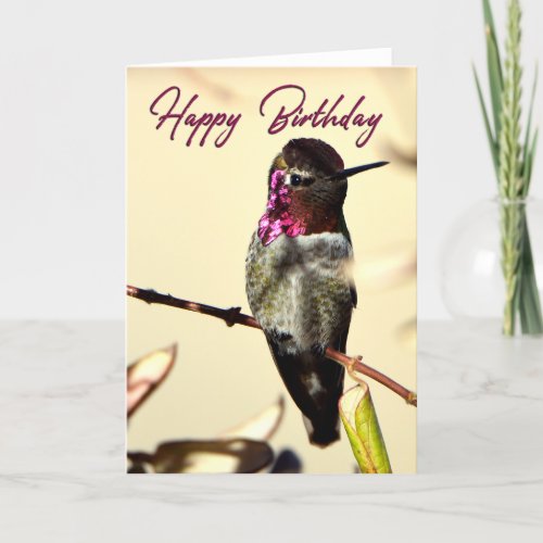 Hot Pink Happy Birthday Hummingbird Photo Card