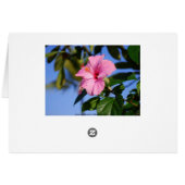 Hot Pink Hibiscus Card (Back Horizontal)