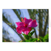 Hot Pink Hibiscus Card (Front Horizontal)