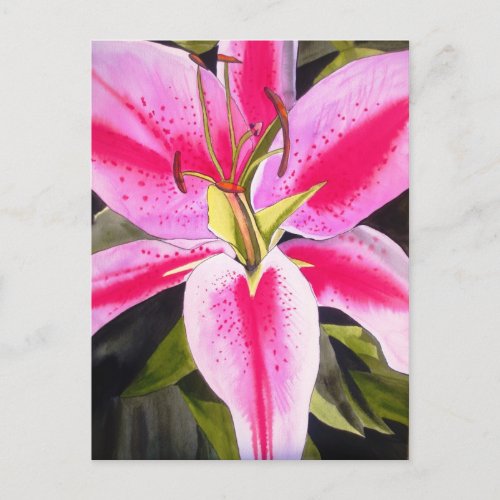 Hot Pink lily flower watercolor pop art flower Postcard