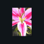 Hot Pink lily flower watercolor pop art painting Canvas Print<br><div class="desc">with original design from watercolour painting by Sacha Grossel of hot pink, bright, colourful day lily flower with dark green foliage. This eye catching floral design is close up, macro style for botanical art lovers and tropical flower lovers everywhere.</div>