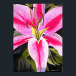 Hot Pink lily flower watercolor pop art painting Poster<br><div class="desc">with original design from watercolour painting by Sacha Grossel of hot pink, bright, colourful day lily flower with dark green foliage. This eye catching floral design is close up, macro style for botanical art lovers and tropical flower lovers everywhere.</div>