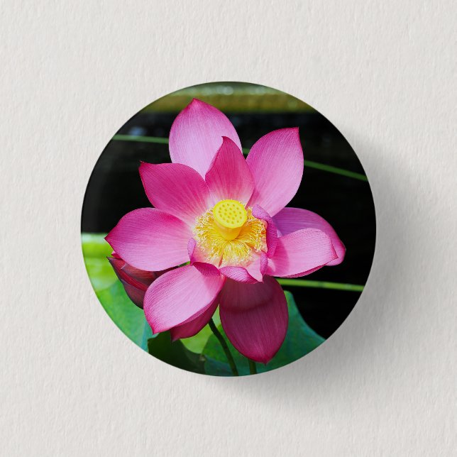 Hot Pink Lotus Flower Button (Front)